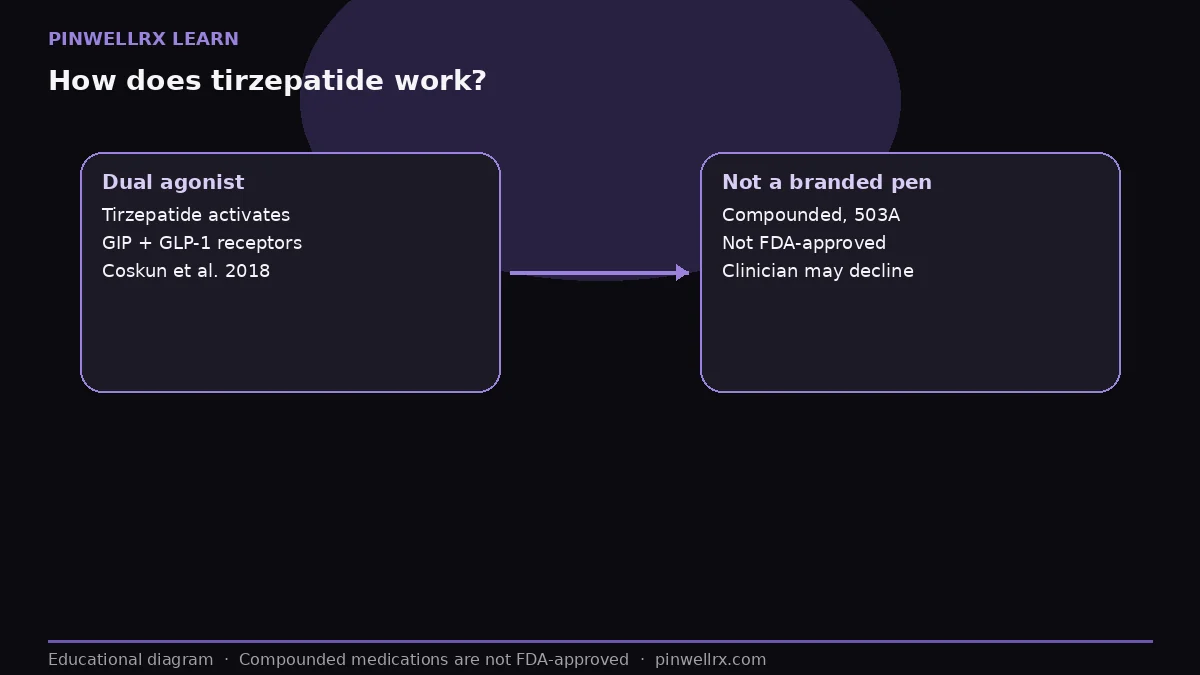How does tirzepatide work?