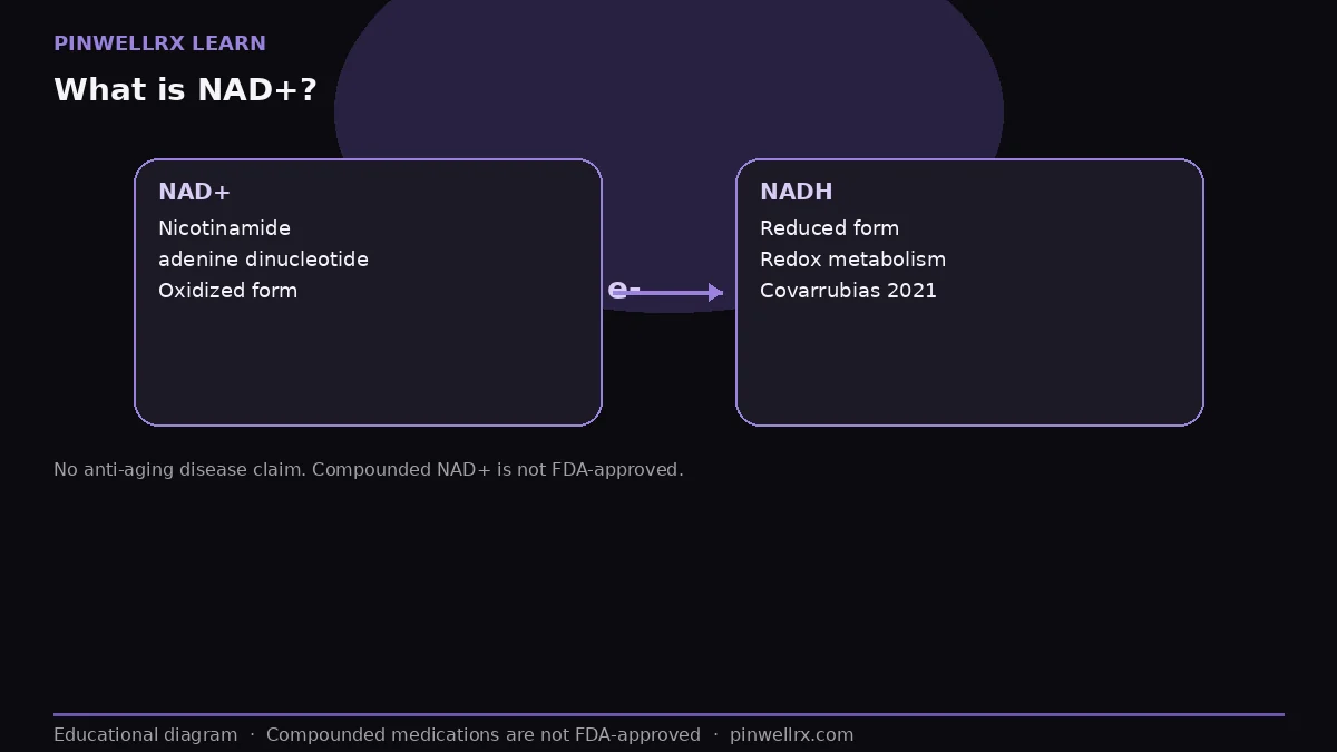What is NAD+?