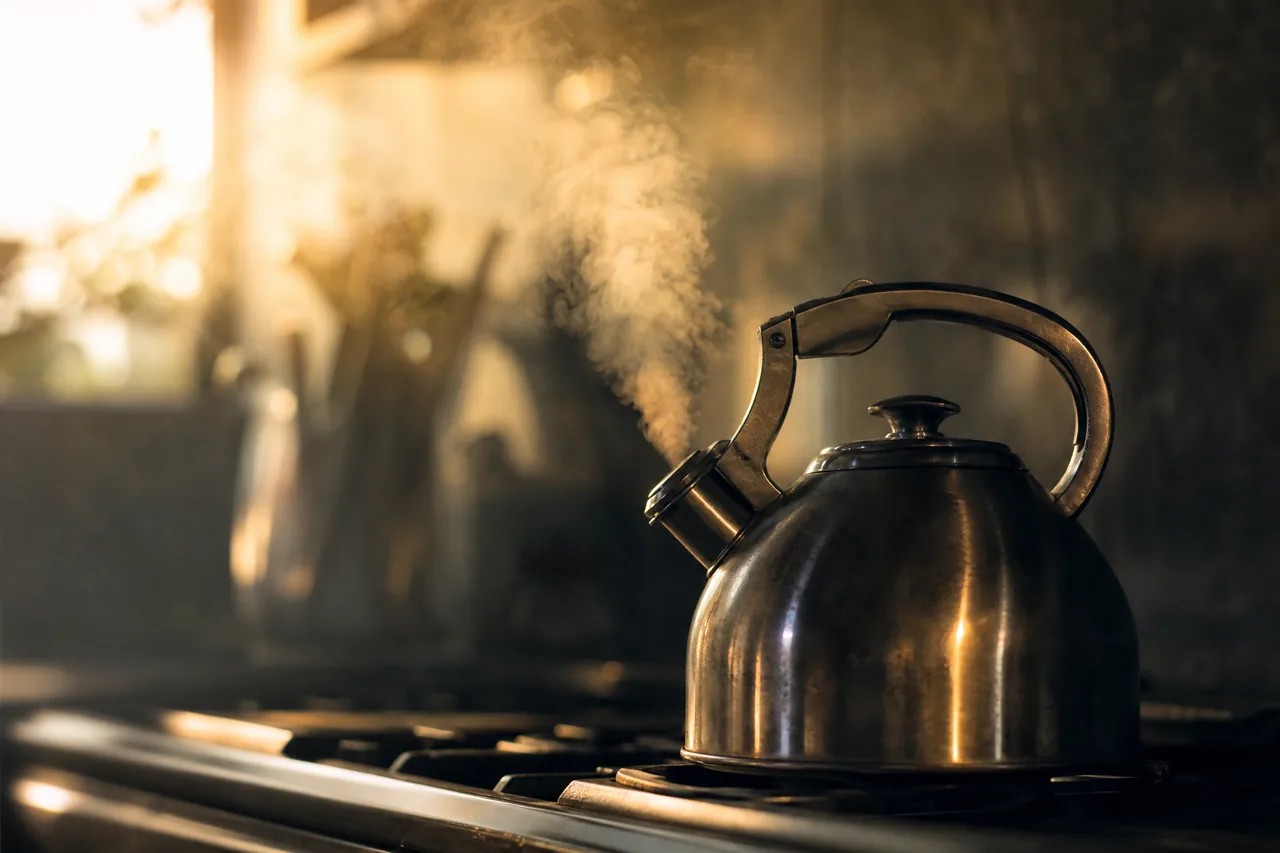 A kettle just beginning to steam on a stovetop in morning light